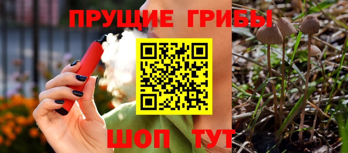 Галлюциногенные грибы Psilocybe  Вход с VPN  что такое наркотик  Амурск 